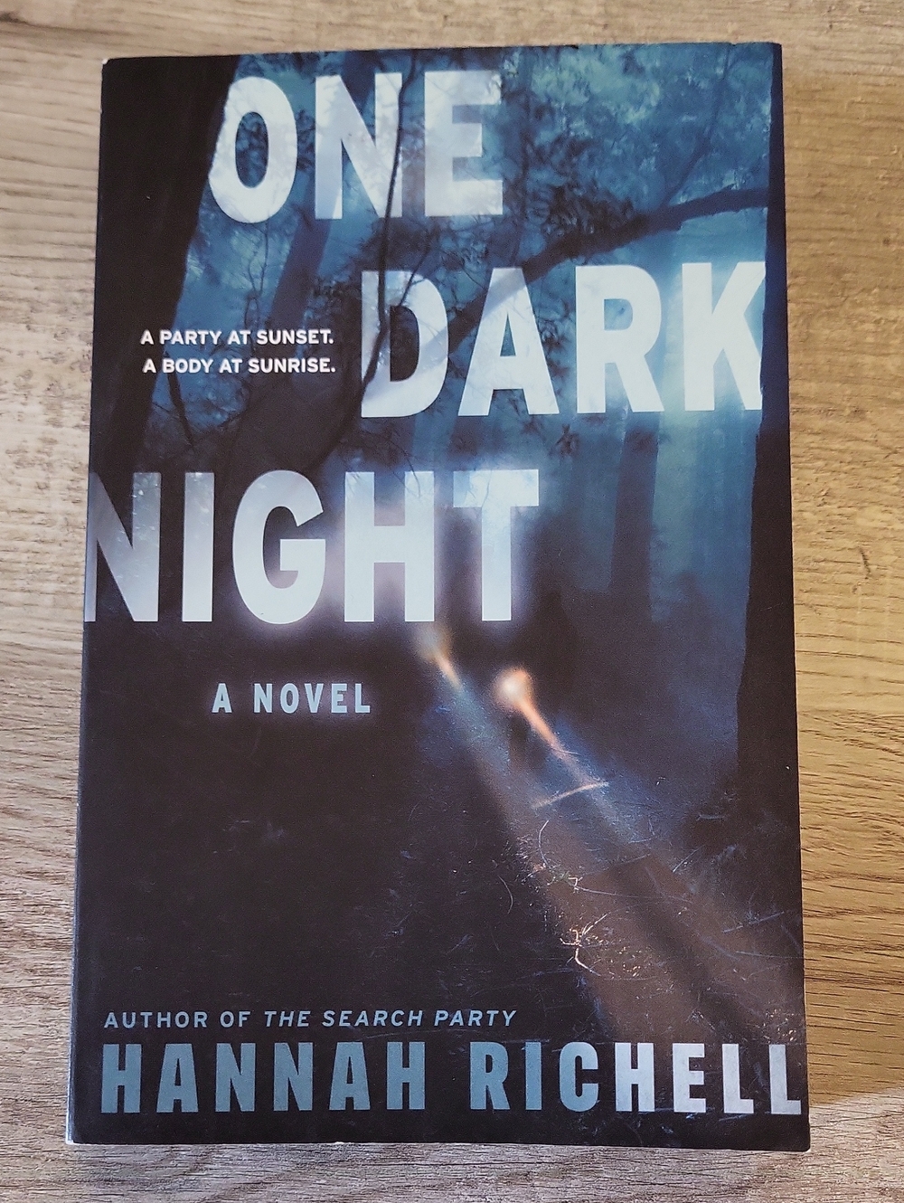 3/$18! One Dark Night by Hannah Richell - Paperback Novel